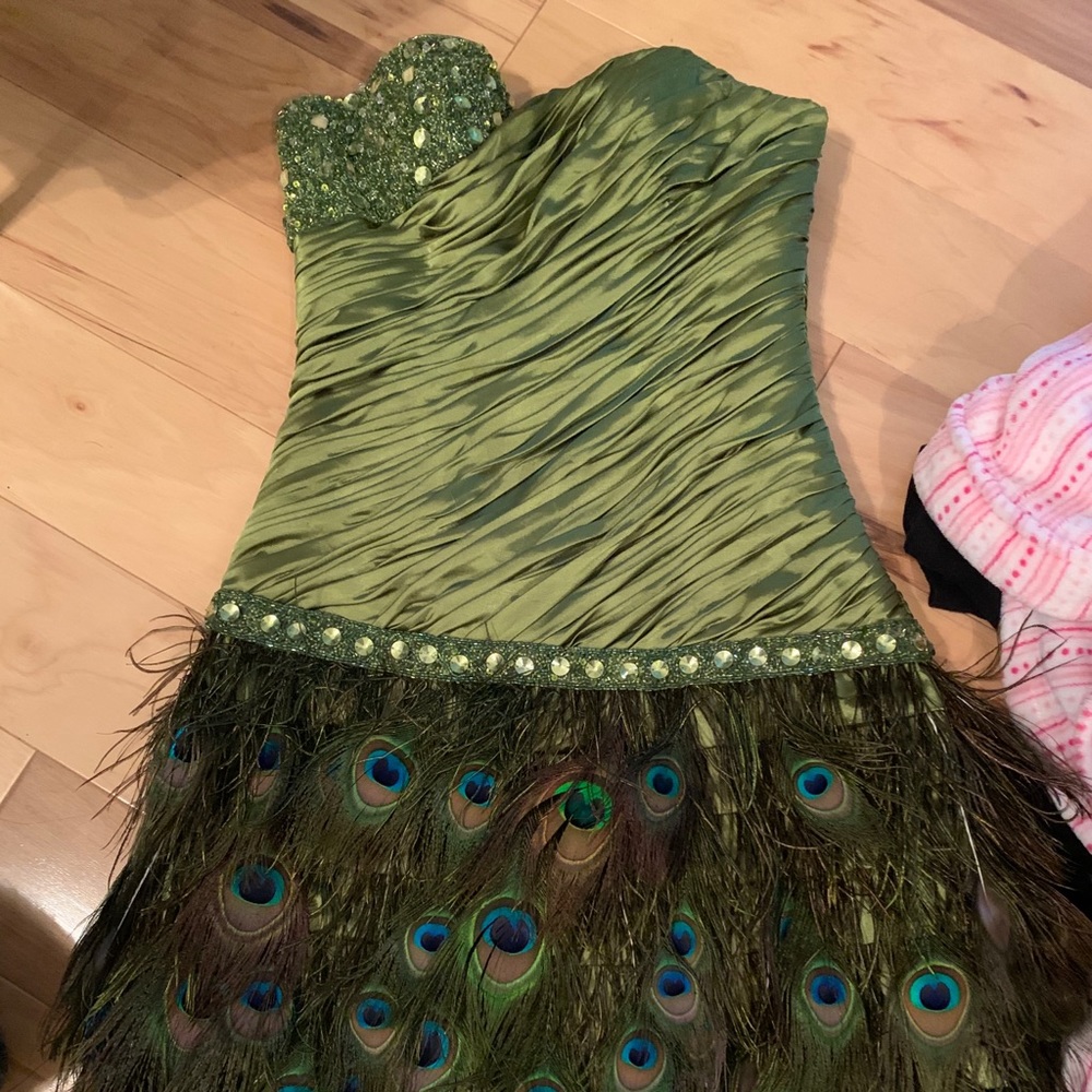 Gorgeous peacock dress